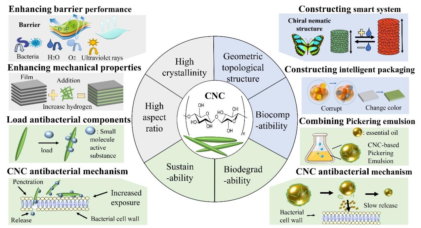 11111111100000000000